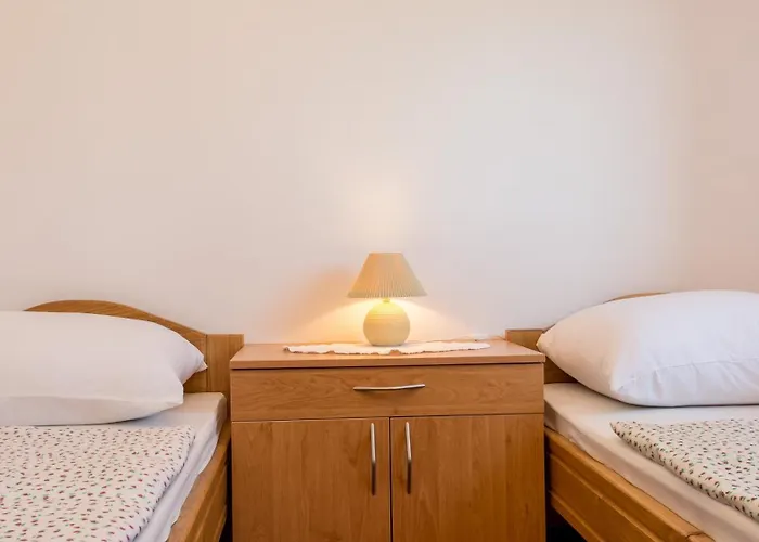 Apartment Branko
