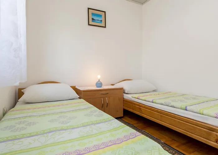 Apartment Branko